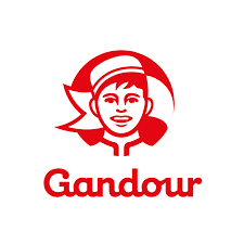 شعار Gandour – علامة غذائية إقليمية متخصصة في الحلويات والمنتجات الغذائية